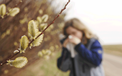 Haaatschi! Pollen im Anflug