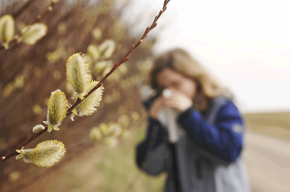 Haaatschi! Pollen im Anflug